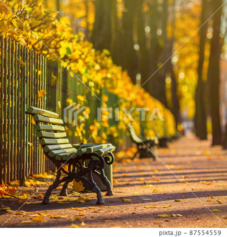 Beautiful alley in the autumn Park Beautiful alley in the autumn Park 87554559