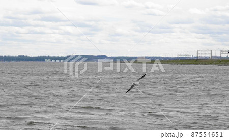 Seagull flies over the sea and waves against the background of the sky Seagull flies over the sea and waves against the background of the sky 87554651