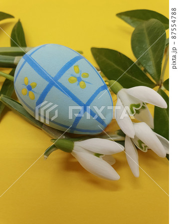 Colorful Easter egg and spring flowers on a yellow background. Easter greeting, postcard, copy space, easter decorations 87554788