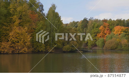 Autumn leaves fall in the forest, natural landscape 87554877