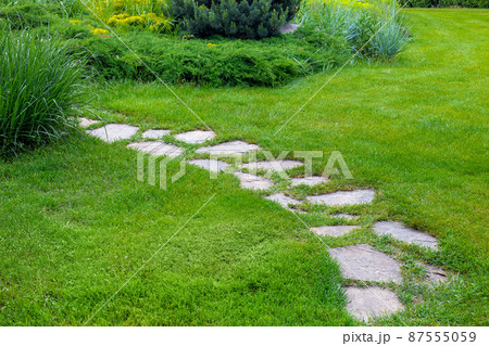 rough different shapes of natural stone path paved in the green backyard turf lawn, crescent backyard walkway landscape with bushes, nobody. 87555059