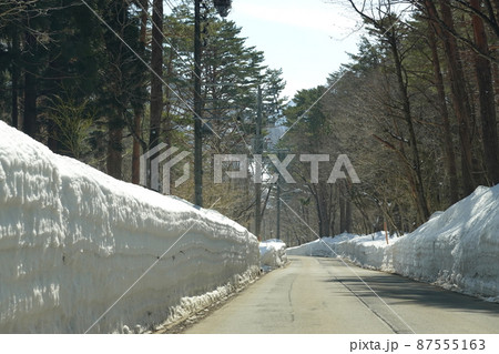 雪に埋もれた早春の白川街道 雪に埋もれた早春の白川街道 87555163