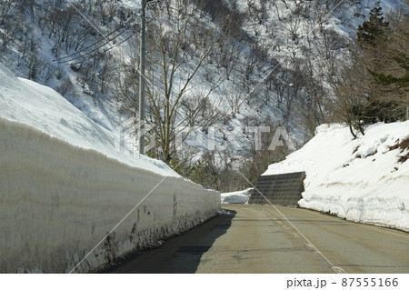雪に埋もれた早春の白川街道 雪に埋もれた早春の白川街道 87555166