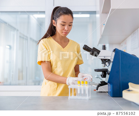 Young specialist working with analyzes in vet laboratory 87556102