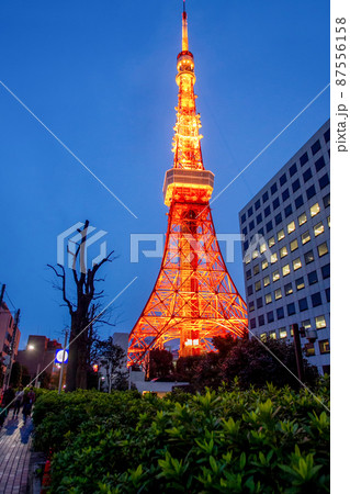 Twilight view on Tokyo Tower - very similar to the Eiffel Tower, but 30 m (330) higher, being a TV tower, now it is only a sightseeing tower with an observation deck. 87556158