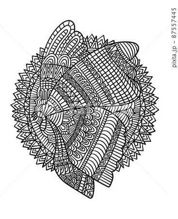 Butterfly Mandala Coloring Pages For Adultsのイラスト素材