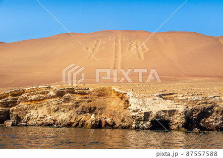 Candelabra of the Andes prehistoric geoglyph, Parakas national reserve, Peru, South America 87557588