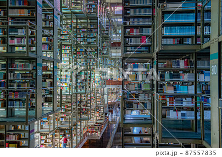 SFの世界？　バスコンセロス図書館 87557835