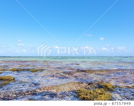 石垣島　海の景色　多田浜海岸 87557949
