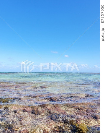 石垣島　海の景色　多田浜海岸 87557950