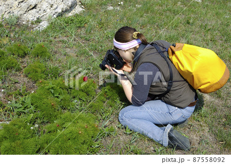 Woman taking photographs of red flowers in a spring garden Woman taking photographs of red flowers in a spring garden 87558092
