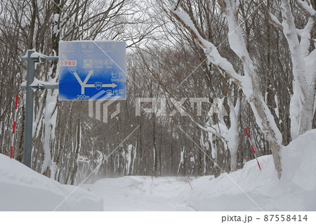国道103号線の冬景色(青森県) 国道103号線の冬景色(青森県) 87558414