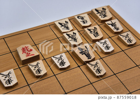 穴熊囲い VS 龍王<将棋> 穴熊囲い VS 龍王<将棋> 87559018