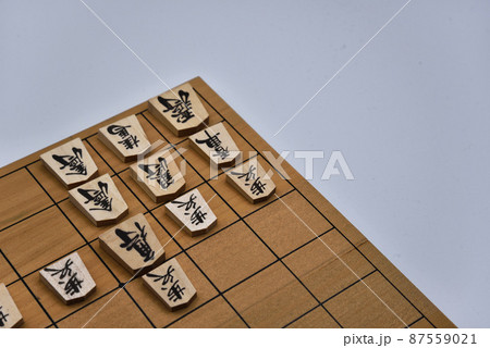 ＜将棋＞穴熊囲い 87559021