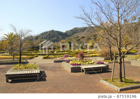 とくしま植物園/徳島県徳島市渋野町入道 とくしま植物園/徳島県徳島市渋野町入道 87559196