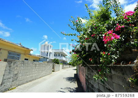沖縄 阿嘉島の風景 慶良間諸島 沖縄 阿嘉島の風景 慶良間諸島 87559268