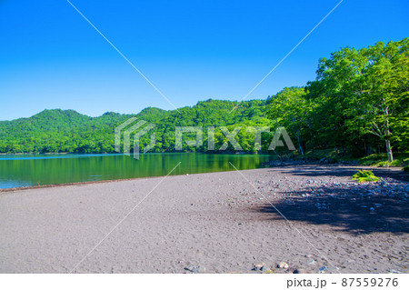 赤城大沼 湖畔 湖岸からの眺め 初夏の風景 赤城大沼 湖畔 湖岸からの眺め 初夏の風景 87559276