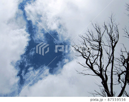 空 エーテル 大空 87559556