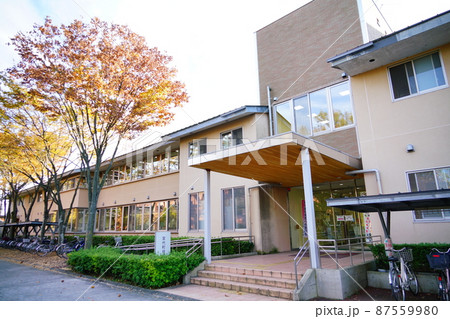 埼玉県南埼玉郡宮代町役場の入り口 埼玉県南埼玉郡宮代町役場の入り口 87559980