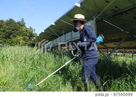 太陽光発電所の除草作業 草刈りをする男性 太陽光発電所の除草作業 草刈りをする男性 87560098