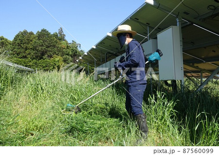 太陽光発電所の除草作業 草刈りをする男性 太陽光発電所の除草作業 草刈りをする男性 87560099