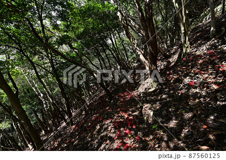 白髪岳より 87560125