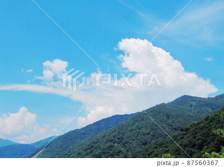 武陵農場 南山 山林 87560367