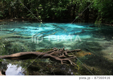 View of EMERALD POOL in forest at thailand View of EMERALD POOL in forest at thailand 87560416