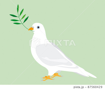オリーブをくわえた白い鳩 平和の象徴のイラスト素材