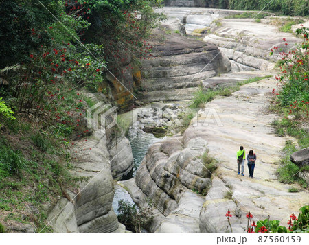 雲林 景色 風景 87560459