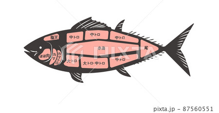鮪の部位 鮪の部位 87560551