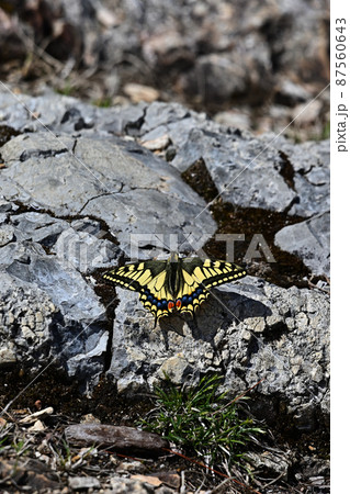 白髪岳山頂より 白髪岳山頂より 87560643