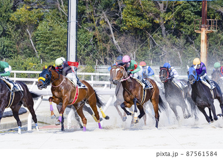 競馬　第4コーナーで一斉に追い上げる馬たち5 87561584