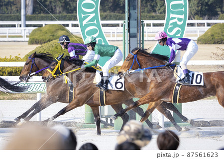 競馬 疾走する馬と見守る観客 競馬 疾走する馬と見守る観客 87561623