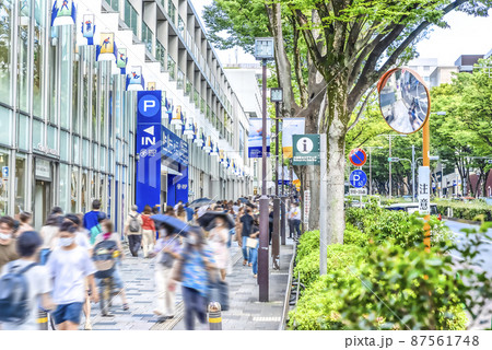 東京渋谷の都市風景　表参道 87561748
