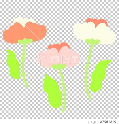 Spring flower Spring flower 87561819