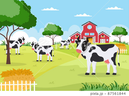 Dairy Cows Pictures with a View of a Meadow or a Farm in the Countryside to Eat Grass in an Illustration Flat Style Dairy Cows Pictures with a View of a Meadow or a Farm in the Countryside to Eat Grass in an Illustration Flat Style 87561844