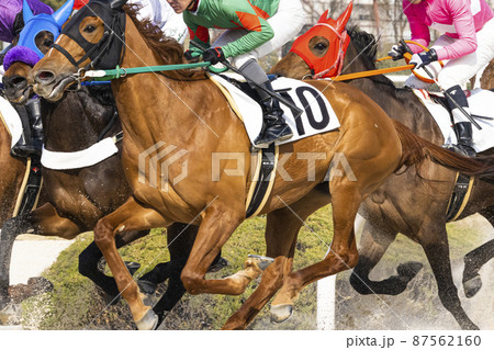 競馬 必死に走る栗毛の競走馬 競馬 必死に走る栗毛の競走馬 87562160