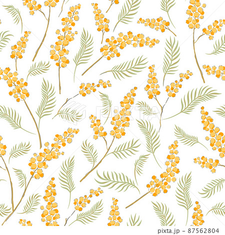 Mimosa yellow flower branches hand drawn vector seamless pattern. Vintage Romantic Spring Garden Bloom background. Retro floral print for Easter spring design. Mimosa yellow flower branches hand drawn vector seamless pattern. Vintage Romantic Spring Garden Bloom background. Retro floral print for Easter spring design. 87562804