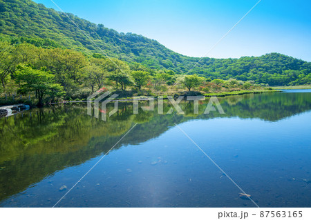赤城公園　覚満淵　遊歩道からの眺め　初夏の風景　　　 87563165