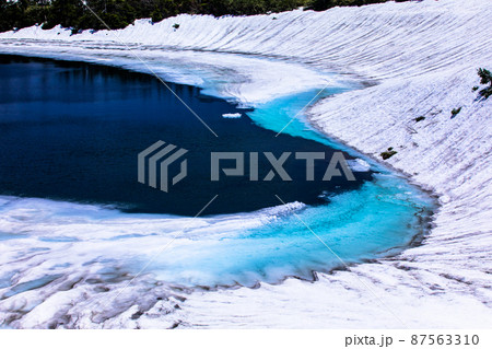 【岩手・秋田県】残雪の八幡平・ガマ沼 6月 87563310