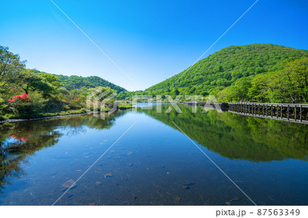 赤城公園　覚満淵　遊歩道からの眺め　初夏の風景　　　 87563349