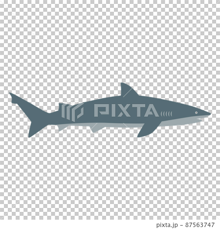 サメのイラスト サメのイラスト 87563747