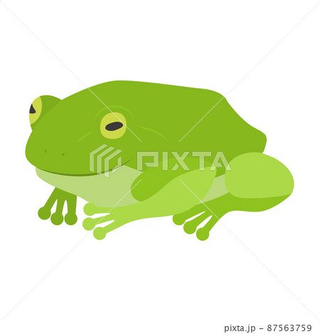 蛙のイラスト 87563759