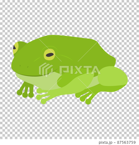 一隻青蛙的插圖 87563759
