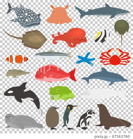 Illustration set of aquarium creatures 87563760