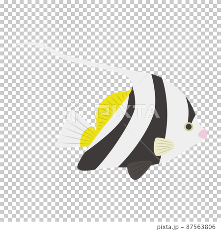 石斑魚的插圖 87563806