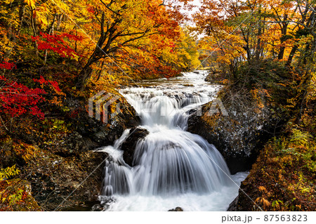 【北海道】伊達市 紅葉の三階滝　10月 87563823