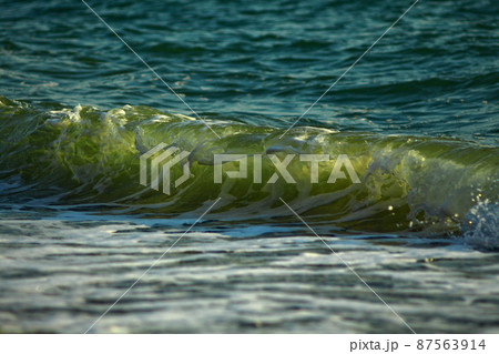 The wave highlighted by the sun The wave highlighted by the sun 87563914