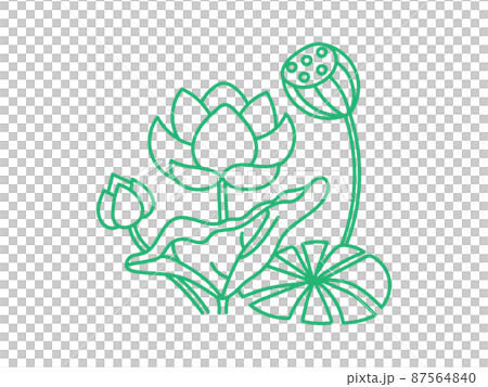 Image of Sketch Indian Lotus Flower and Pattern Editable Outline  Illustration Background-UG653514-Picxy